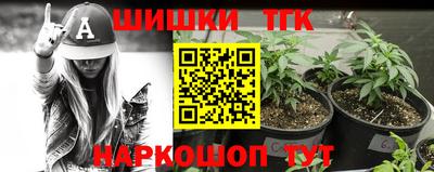 скорость Новозыбков