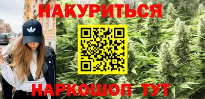 амф Новокубанск