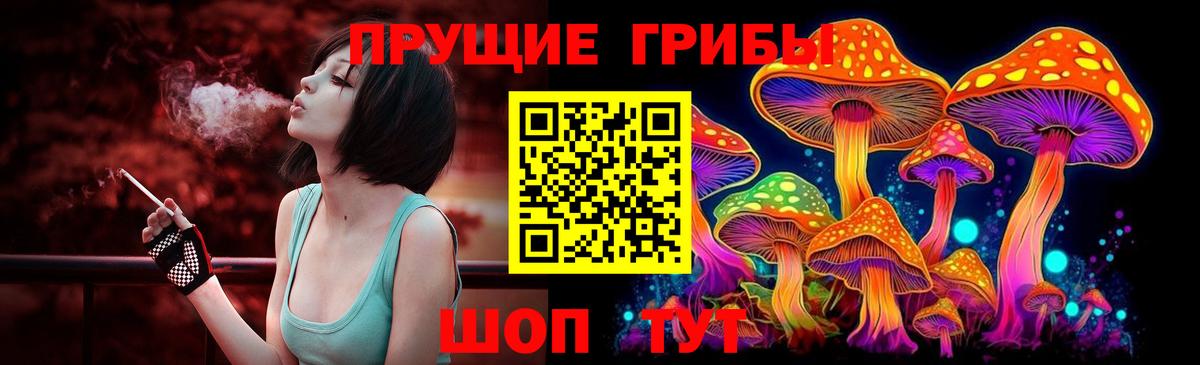 Галлюциногенные грибы GOLDEN TEACHER  Вход с VPN  Саров 